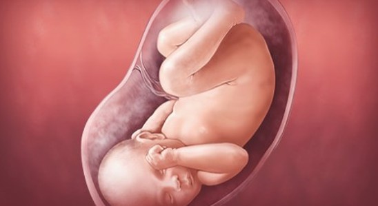 Mang thai tuần 41 mẹ cần lưu ý gì?